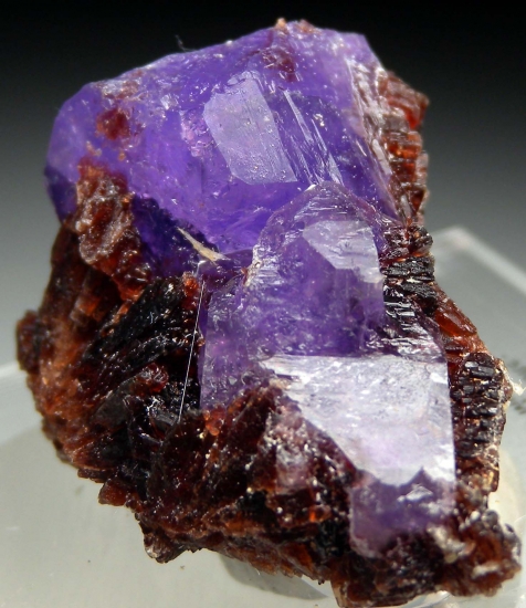 Coquimbite on Romerite from South Olga Tunnel, Monte Arsiccio Mine, Stazzema, Lucca Province, Tuscany, Italy [db_pics/pics/mk271b.jpg]