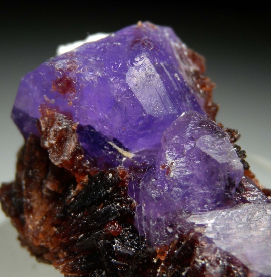 Coquimbite on Romerite from South Olga Tunnel, Monte Arsiccio Mine, Stazzema, Lucca Province, Tuscany, Italy [db_pics/pics/mk271c.jpg]