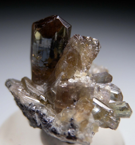 Tanzanite from Merelani Hills, Arusha, Tanzania [db_pics/pics/mk290d.jpg]