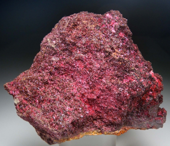 Cuprite var. Chalcotrichite from Clifton District, Greenlee Co., Arizona, USA [db_pics/pics/mk454a.jpg]