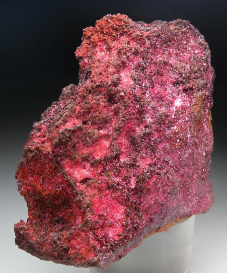 Cuprite var. Chalcotrichite from Clifton District, Greenlee Co., Arizona, USA [db_pics/pics/mk454d.jpg]