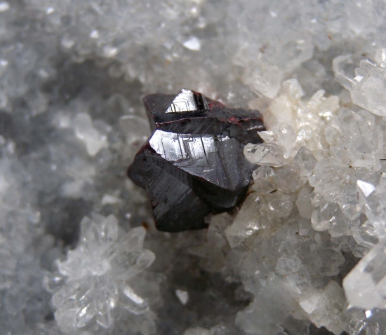 Cinnabar from Yanwuping Mines, Guizhou, China [db_pics/pics/mk491b.jpg]
