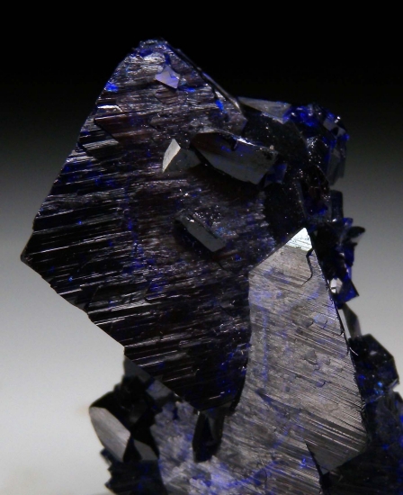 Azurite from Milpillas Mine, Cuitaca, Sonora, Mexico [db_pics/pics/mk530b.jpg]