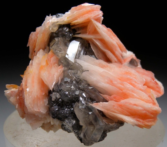 Cerussite with Barite from Mibladen, Morocco [db_pics/pics/mk541a.jpg]