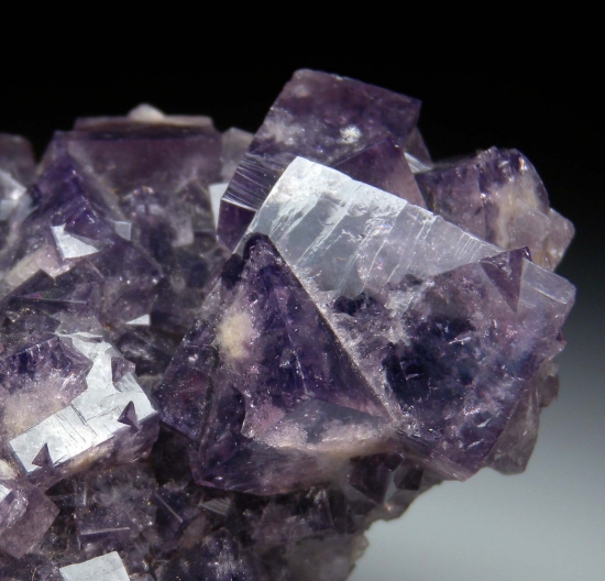 Galena on Fluorite from North Pennies Ore Field, Durham, England [db_pics/pics/mk543b.jpg]