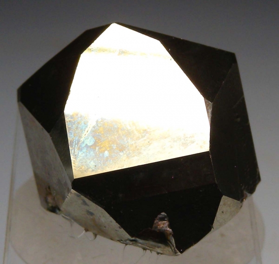 Pyrite from Merelani Hills, Arusha, Tanzania [db_pics/pics/mk616b.jpg]