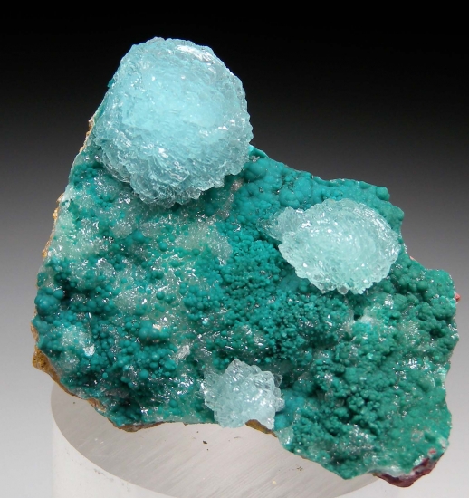 Hemimorphite on Rosasite from Yanga Koubenza, M'fouati Dist., Bouenza Dept., Republic of Congo [db_pics/pics/mk639a.jpg]
