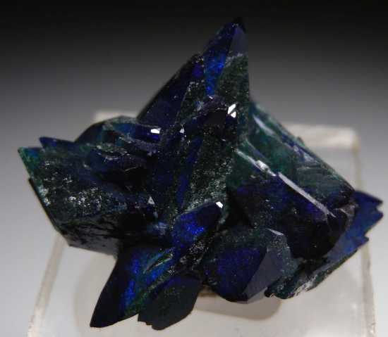 Azurite with Malachite from Milpillas Mine, Cuitaca, Sonora, Mexico [db_pics/pics/mk653a.jpg]