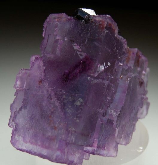 Sphalerite on Fluorite from Denton Mine, Hardin Co., Illinois, USA [db_pics/pics/mk673c.jpg]