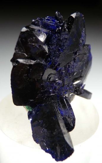 Azurite from Volborthite Pocket, Milpillas Mine, Cuitaca, Sonora, Mexico [db_pics/pics/mk813b.jpg]
