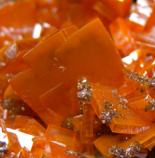 Wulfenite with Descloisite from Los Lamentos, Chihuahua, Mexico [db_pics/pics/mk939d.jpg]