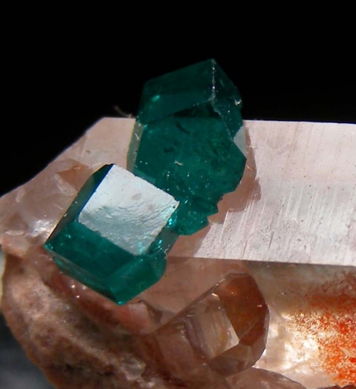 Dioptase on Quartz with Hematite from Kaokaveld, Namibia [db_pics/pics/mk940c.jpg]