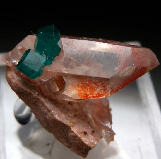 Dioptase on Quartz with Hematite from Kaokaveld, Namibia [db_pics/pics/mk940d.jpg]