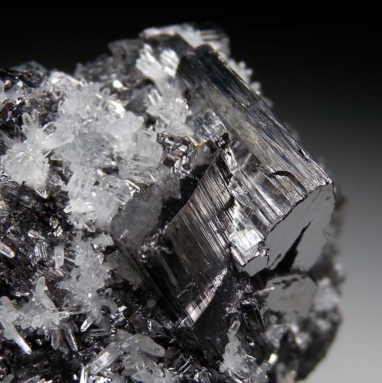 Enargite from Butte, Silver Bowe Co., Montana, USA [db_pics/pics/mm125b.jpg]