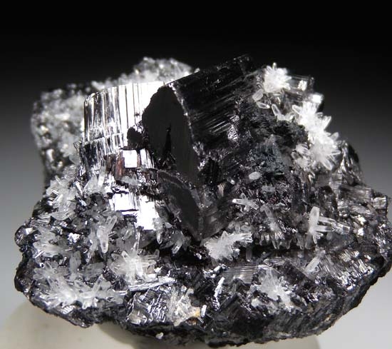 Enargite from Butte, Silver Bowe Co., Montana, USA [db_pics/pics/mm125d.jpg]
