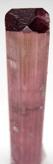 Tourmaline from Himalaya Mine, Mesa Grande, California [db_pics/pics/na109b.jpg]