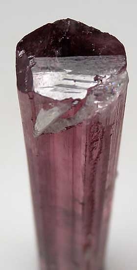 Tourmaline from Himalaya Mine, Mesa Grande, California [db_pics/pics/na109c.jpg]