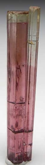 Tourmaline from Himalaya Mine, Mesa Grande, California [db_pics/pics/na110a.jpg]