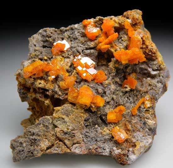 Wulfenite from Mobile Mine, Goodsprings, Clark Co., Nevada [db_pics/pics/na124a.jpg]