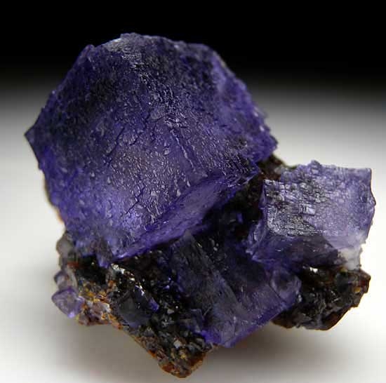 Fluorite on Sphalerite from Elmwood Mine, Carthage, Tennessee [db_pics/pics/na209b.jpg]