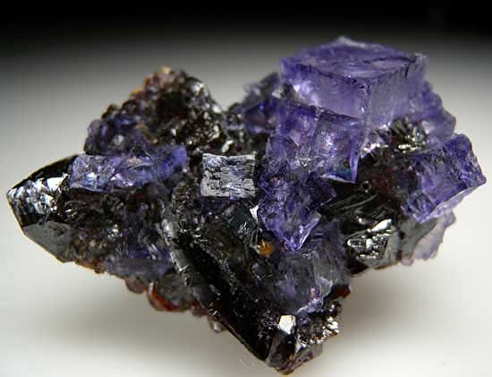Fluorite on Sphalerite from Elmwood Mine, Carthage, Tennessee [db_pics/pics/na211a.jpg]