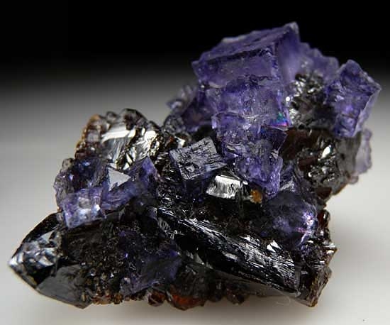 Fluorite on Sphalerite from Elmwood Mine, Carthage, Tennessee [db_pics/pics/na211c.jpg]