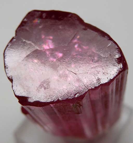 Tourmaline from Himalaya Mine, Mesa Grande, San Diego Co., Califonia [db_pics/pics/na224c.jpg]