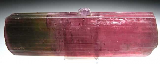 Tourmaline with Lepidolite from Himalaya Mine, Mesa Grande, San Deigo Co., California [db_pics/pics/na266b.jpg]