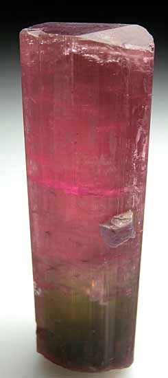 Tourmaline with Lepidolite from Himalaya Mine, Mesa Grande, San Deigo Co., California [db_pics/pics/na266e.jpg]