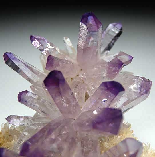 Amethyst from Las Vigas, Vercruz, Mexico [db_pics/pics/na296c.jpg]