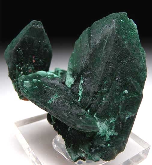 Malachite after Azurite from Milpillas, Cananea District, Sonora, Mexico [db_pics/pics/na302b.jpg]