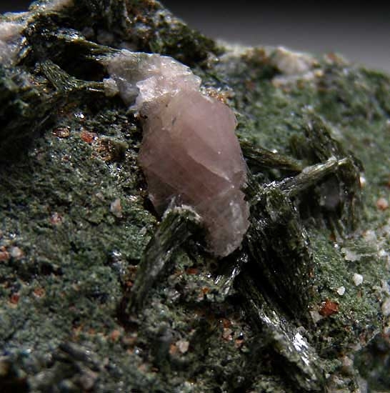 Lawsonite with Actinolite from Mendocino County, California [db_pics/pics/na365b.jpg]