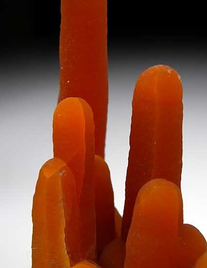 Calcite from Alzada, Carter County, Montana, USA [db_pics/pics/na397b.jpg]