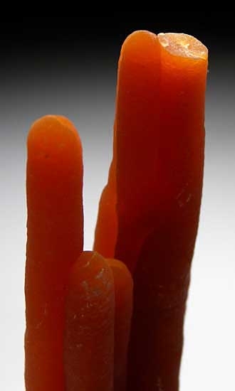 Calcite from Alzada, Carter County, Montana, USA [db_pics/pics/na407c.jpg]