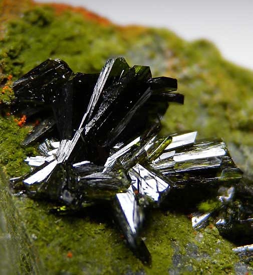Olivenite from Majuba Hill Mine, Pershing Co., Nevada [db_pics/pics/na432b.jpg]