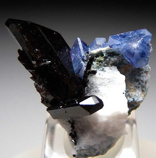Benitoite and Neptunite from Gem Mine, San Benito Co., California [db_pics/pics/na444a.jpg]