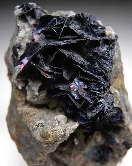 Covellite from Leonard Mine, Butte, Silverbowe Co., Montana [db_pics/pics/na458b.jpg]
