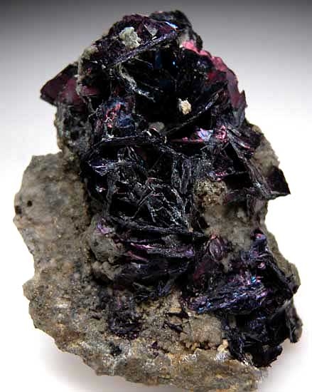 Covellite from Leonard Mine, Butte, Silverbowe Co., Montana [db_pics/pics/na459a.jpg]
