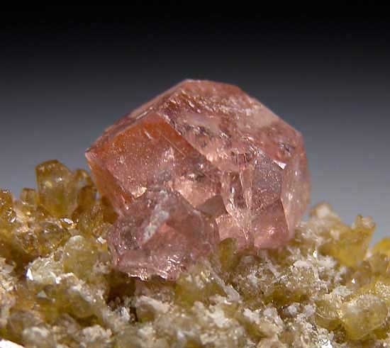 Grossular on Diopside from Jeffrey Mine, Asbestos, Quebec, Canada [db_pics/pics/na465c.jpg]