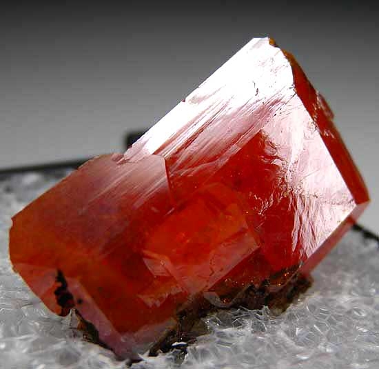 Wulfenite from Red Cloud Mine, Trigo Mtns., La Paz Co., Arizona [db_pics/pics/na469b.jpg]