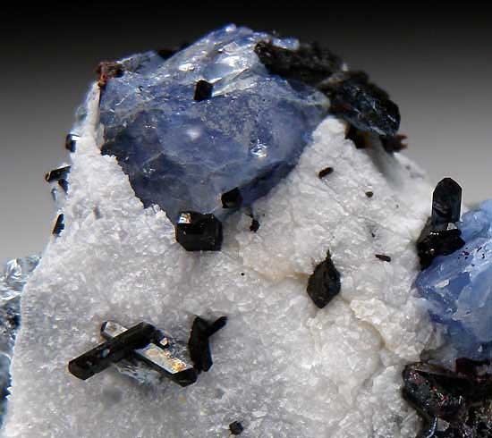Benitoite and Neptunite from Gem Mine, San Benito Co., California [db_pics/pics/na476b.jpg]