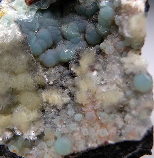 Wavellite on Variscite from Willard Mine, Lovelock, Nevada [db_pics/pics/na479b.jpg]