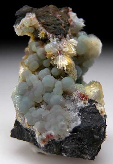 Wavellite on Variscite from Willard Mine, Lovelock, Nevada [db_pics/pics/na480a.jpg]
