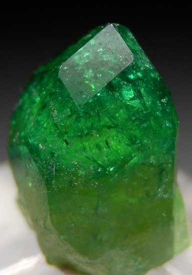 Chrome Vesuvianite from Jeffrey Mine, Asbestos, Quebec, Canada [db_pics/pics/na501b.jpg]