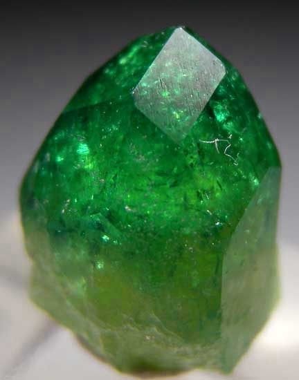 Chrome Vesuvianite from Jeffrey Mine, Asbestos, Quebec, Canada [db_pics/pics/na501c.jpg]
