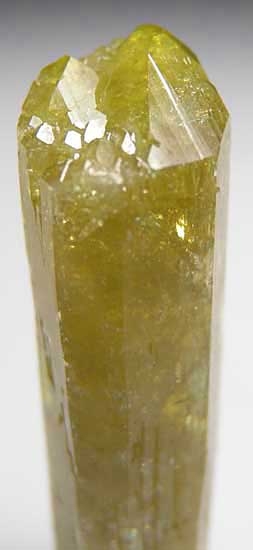 Vesuvianite from Jeffrey Mine, Asbestos, Quebec, Canada [db_pics/pics/na536b.jpg]