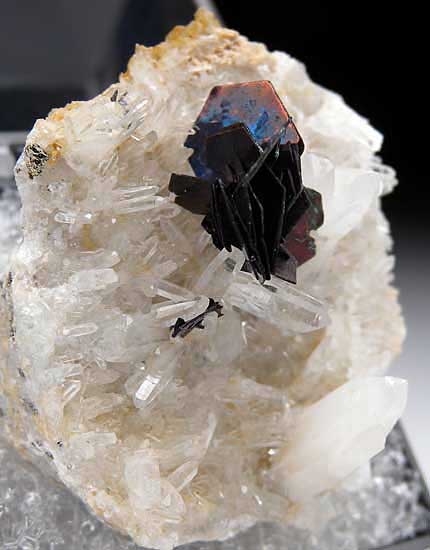 Covellite from Leonard Mine, Butte, Montana [db_pics/pics/na544b.jpg]