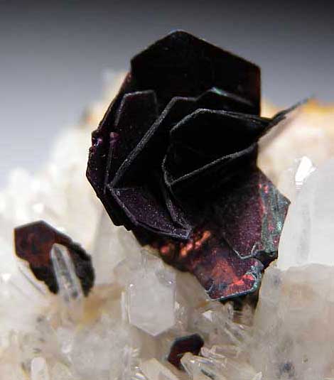 Covellite from Leonard Mine, Butte, Montana [db_pics/pics/na544c.jpg]