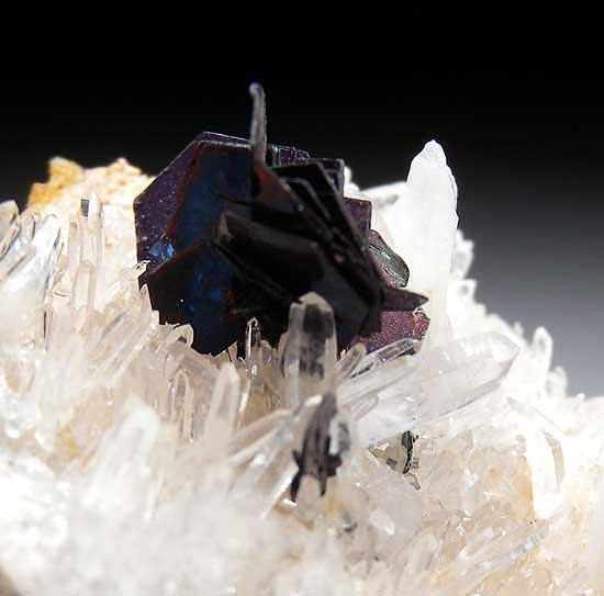 Covellite from Leonard Mine, Butte, Montana [db_pics/pics/na544d.jpg]