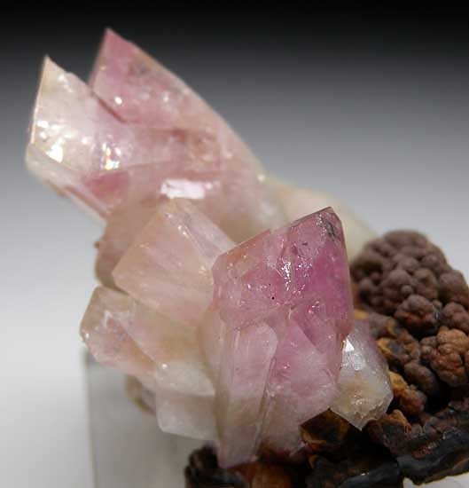 Manganoan Adamite from Mina Ojuela, Mapimi, Durango, Mexico [db_pics/pics/na628b.jpg]